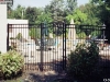 Iron Fence and Gate