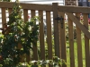 Cedar PIcket Fence With Gate