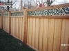 Ivy Topped Privacy Fence